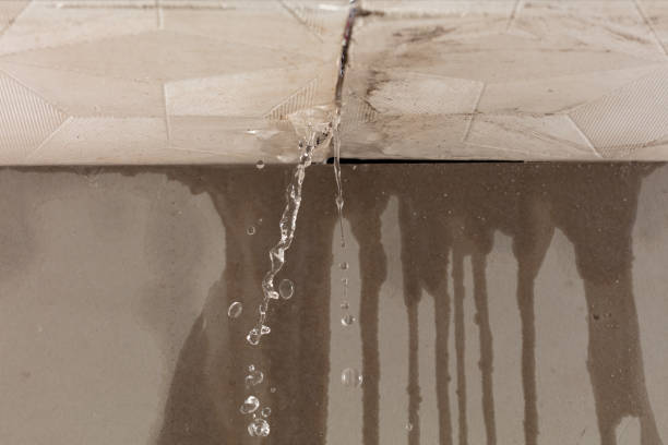 Professional Structural Drying technician working in Greenacres, WA